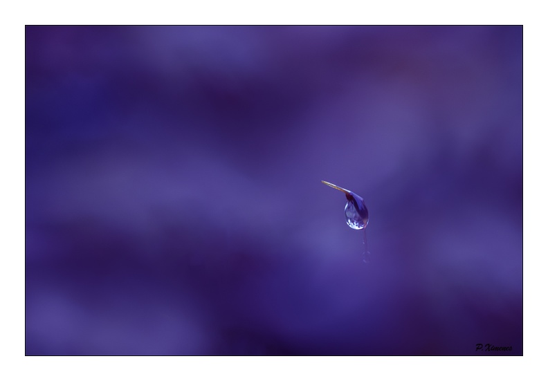 Décembre 2018 PXP2899.jpg