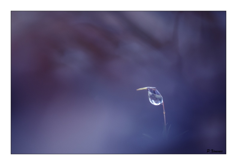 Décembre 2018 PXP2898.jpg