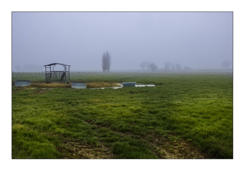 Décembre 2019 PXP4287.jpg