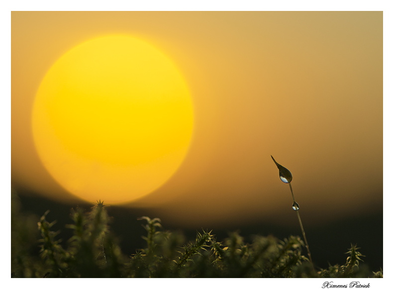  Pointer vers l'astre 