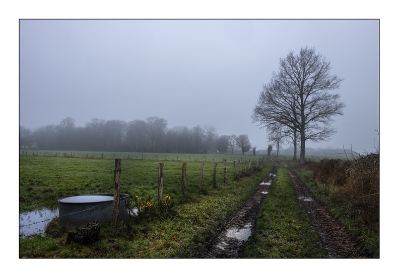 Décembre 2019